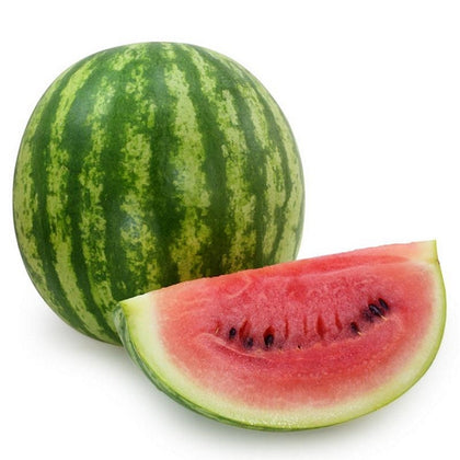 Pianta di Anguria striata (crimson) vaso