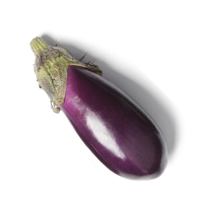 Pianta di Melanzana mini lunga Slim Jim vaso