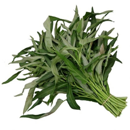 Pianta di Spinacio d'acqua in vaso