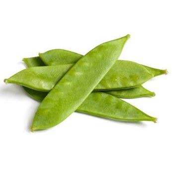 Pianta di pisello mangiatutto (taccola) nano