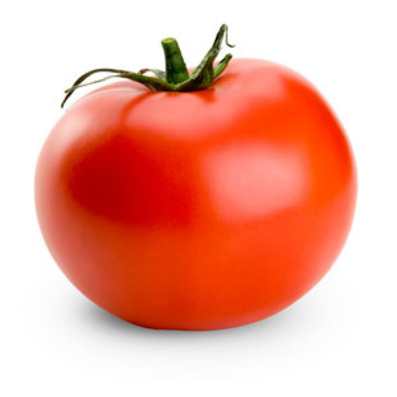 Pianta di Pomodoro tondo Montecarlo in vaso