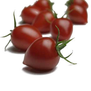 Pianta di Pomodoro fragolino in vaso