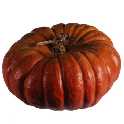 Pianta di Zucca Rouge vif d'etampes vaso