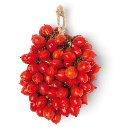 Pianta di Pomodoro Vesuviano (piennolo) in vaso